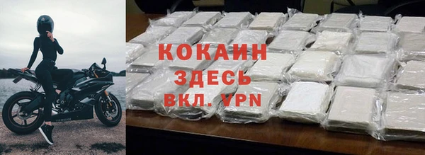 дмт Болотное