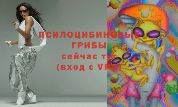 твердый Осташков
