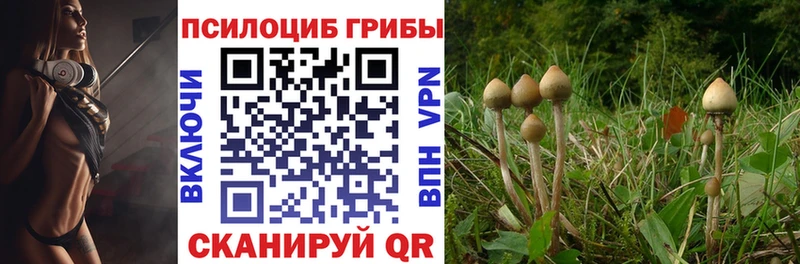 Псилоцибиновые грибы Psilocybe Нелидово
