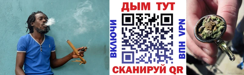 Бошки Шишки Amnesia Нелидово
